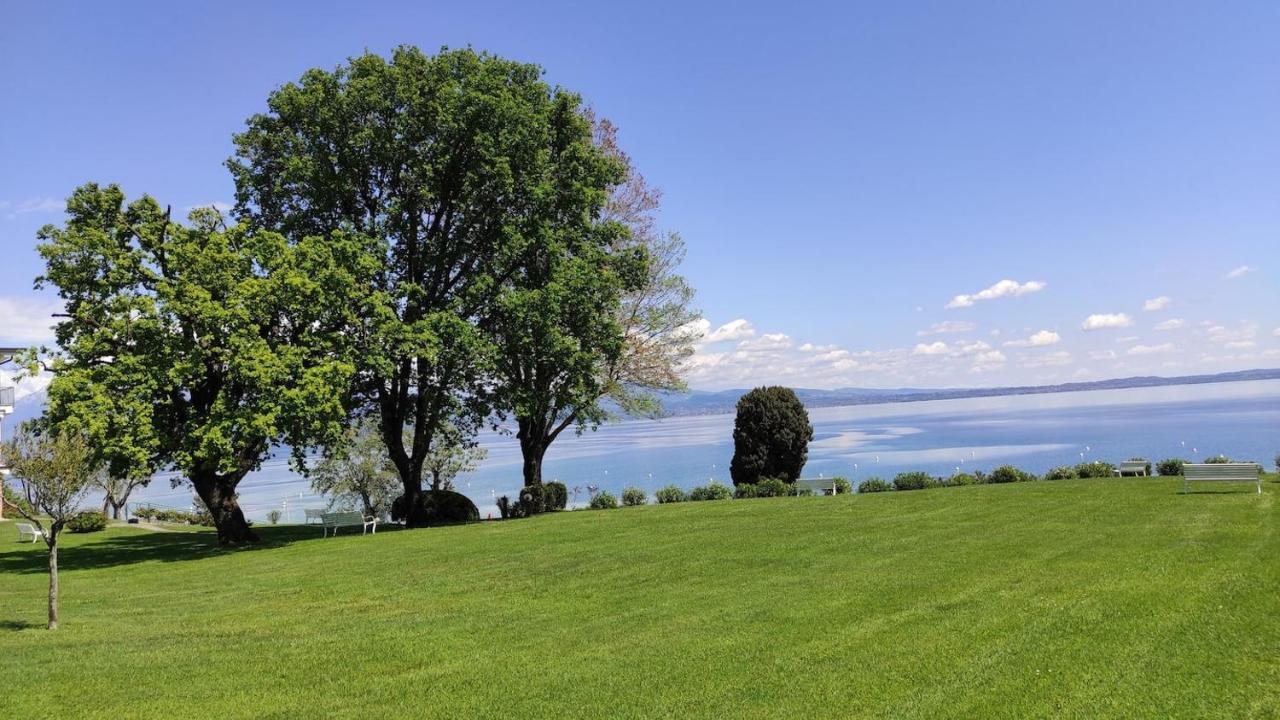 Front Lake Amazing View マネルバ・デル・ガルダ エクステリア 写真